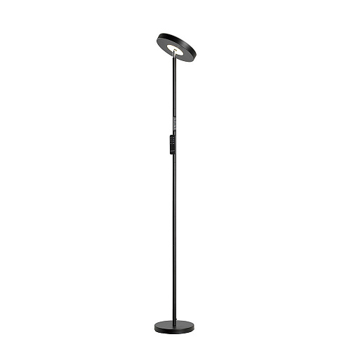 Торшер Lussole Carmel LSP-0901-SE