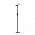 Торшер Lussole Carmel LSP-0901-SE