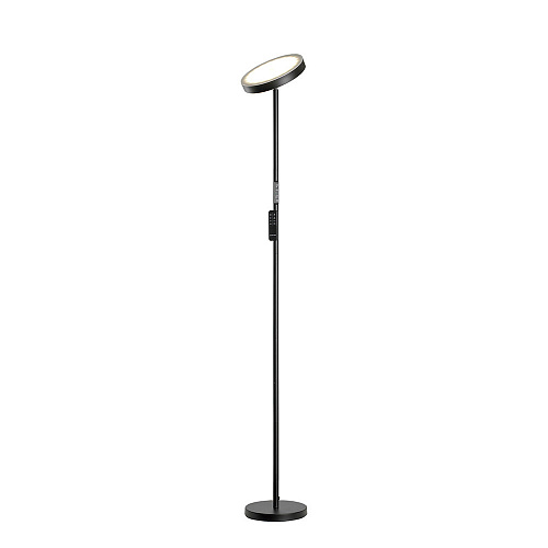 Торшер Lussole Carmel LSP-0901-SE