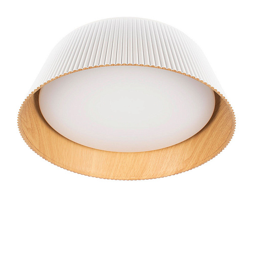 Потолочный светильник LED 24W 4000К 10224 White белый Evans LOFT IT