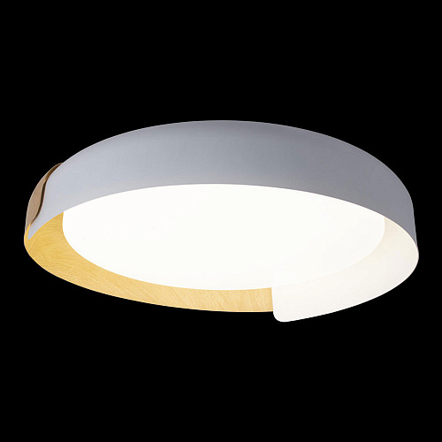 Потолочный светильник LED 28W 4000К 10198 White белый Coin LOFT IT