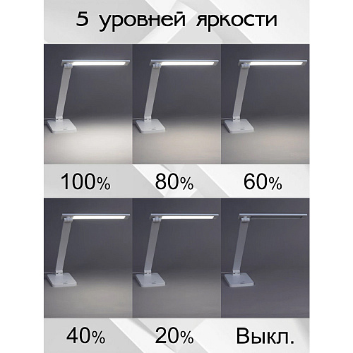 Лампа настольная Citilux Ньютон CL803080