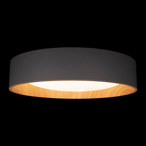 Потолочный светильник LED 36W 4000К 10202 Grey серый Coin LOFT IT
