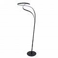 Торшер 29W 3000K A1987PN-28BK черный Hyperbola Arte Lamp