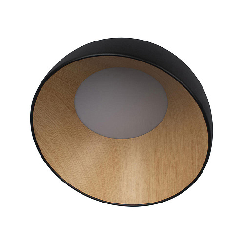Потолочный светильник LED 24W 4000К 10197/350 Black чёрный Egg LOFT IT