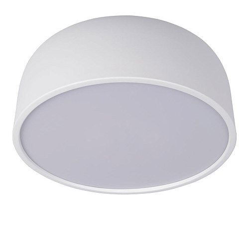 Потолочный светильник LED 24W 4000К 10201/350 White белый Axel LOFT IT