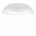 Потолочный светильник LED 30W 4000К 10229 White белый Cappello LOFT IT