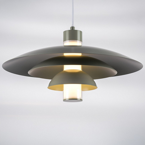 Люстра Lightstar Erbareo 799019