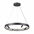 Светильник светодиодный диаметр 60 см, 58W LED, 3000-4000-6000K, Odeon Light HIGHTECH 4317/58L, черный