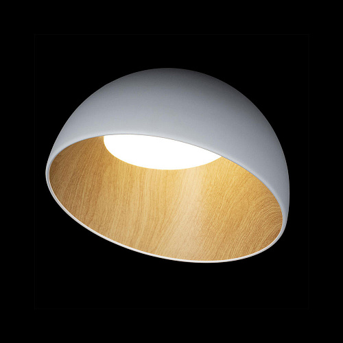 Потолочный светильник LED 24W 4000К 10197/350 White белый Egg LOFT IT