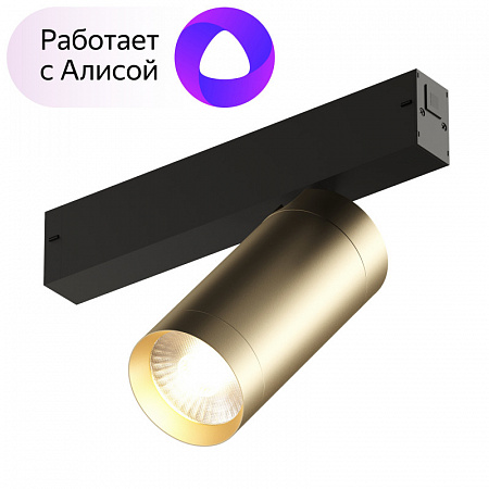 Трековый светильник 20W 3000-6000К DK8020-BG матовое золото Smart Spot Denkirs