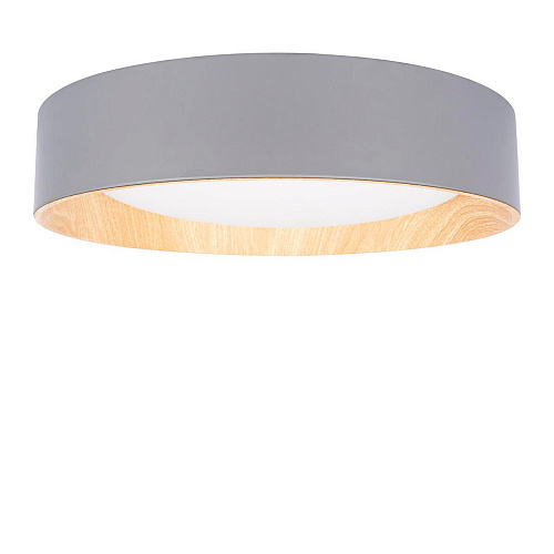 Потолочный светильник LED 36W 4000К 10202 Grey серый Coin LOFT IT