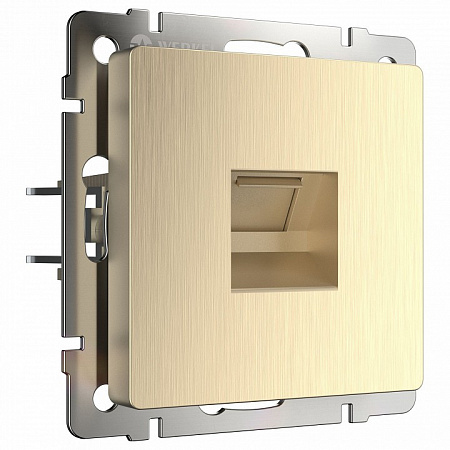 Розетка Ethernet RJ-45 Werkel Шампань рифленый W1181010