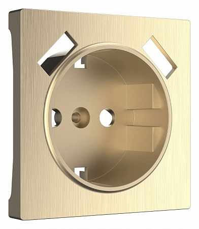 Накладка для розетки и 2хUSB Werkel Шампань рифленый W1179510