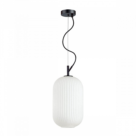 Светильник подвесной Roofi 4751/1 Odeon Light, диаметр 20 см, черный