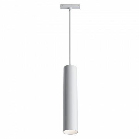Подвесной светильник Maytoni Track lamps TR016-2-12W4K-W