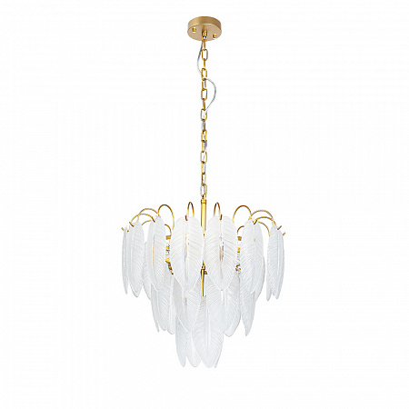 Подвесная люстра Arte Lamp EVIE 40W E14 A4052LM-6SG