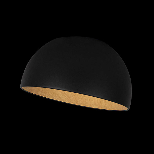 Потолочный светильник LED 24W 4000К 10197/350 Black чёрный Egg LOFT IT
