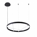 Люстра 60*7 см, 1 LED*32W, 4000 К, Arte Lamp Ricco A1874SP-32BK, Черный