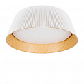 Потолочный светильник LED 24W 4000К 10224 White белый Evans LOFT IT