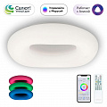 Светильник 52 см, 65W, 3000K-5500K Citilux Стратус Смарт CL732A520G белый
