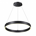 Светильник 60 см, 50W, 3000-6000K Novotech Iter 358959, черный