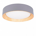 Потолочный светильник LED 36W 4000К 10202 Grey серый Coin LOFT IT