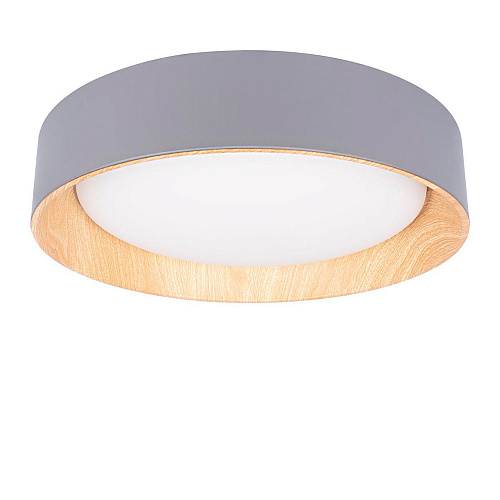 Потолочный светильник LED 36W 4000К 10202 Grey серый Coin LOFT IT