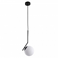 Подвесной светильник Arte Lamp BOLLA-UNICA 60W E27 A1923SP-1BK
