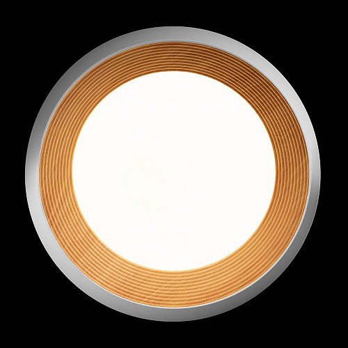 Потолочный светильник LED 30W 4000К 10255/500 White белый Folk LOFT IT
