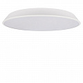 Потолочный светильник LED 36W 4000К 10226 White белый Brim LOFT IT