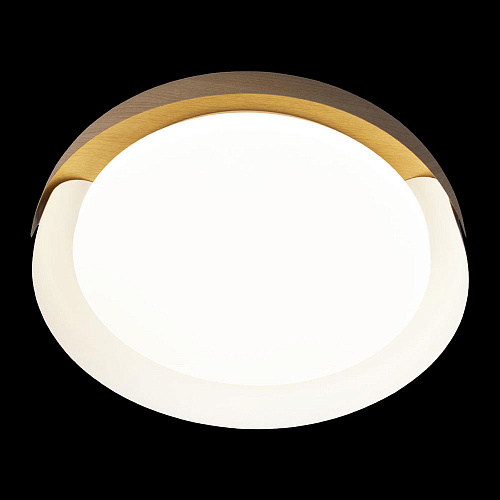Потолочный светильник LED 28W 4000К 10198 White белый Coin LOFT IT