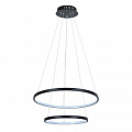 Светильник 55 см, 65W, 3000-6000K, Arte Lamp Frodo A2197SP-2BK, черный