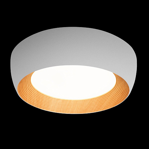 Потолочный светильник LED 30W 4000К 10255/500 White белый Folk LOFT IT